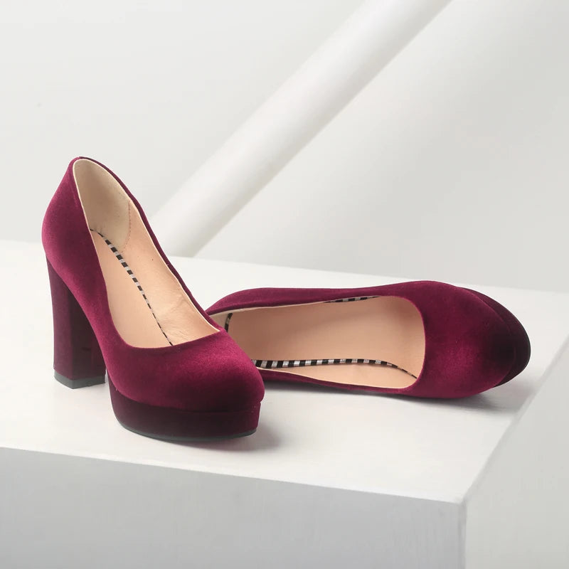 Elegant Women's High Heels Shoes Platform 2025 Fashion Flock Black Blue Red Heeled Party Wedding Shoes Female Velvet Dress Pumps
