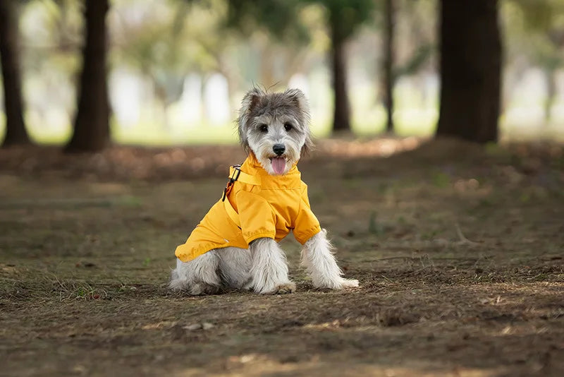 Waterproof Dog Rain Jacket with Harness Safety Reflective Dog Raincoat for Small Dogs Pet Outdoor Jackets for Jungle Camping