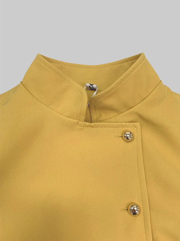 Solid Color Dress for Women 2025 Stand Collar Long Sleeves Single-breasted H-Line Midi Dress Autumn Fashion High Street Dress