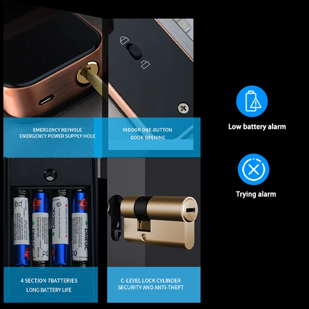 RAYKUBE F005 IP65 Waterproof Tuya Wifi Lock Electronic Smart Door Lock With Fingerprint/Smart Card/Password/Key/APP Unlock