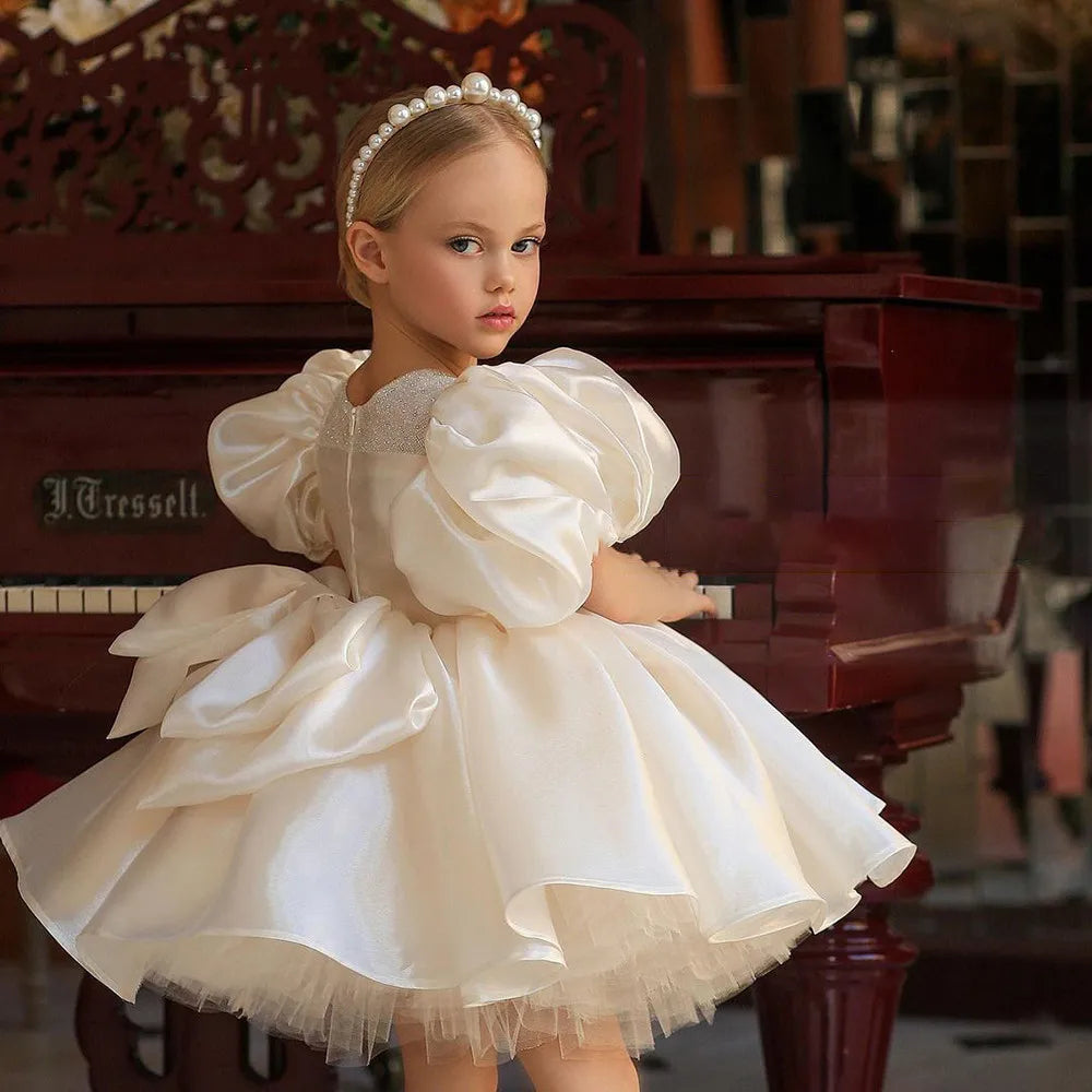 Flower Girl Dress Birthday Ball Gown Puffy For Wedding Tulle Appliques Beading Party Pageant First Communion Gown Gift