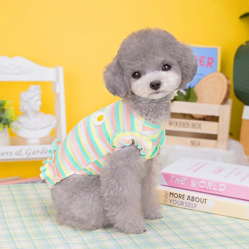Dog Summer Clothes Pet Dog Vest Dress Dog Knitted Striped Dog T Shirt Chihuahua Bichon Clothing Kitten Puppy Girls Dog Costume