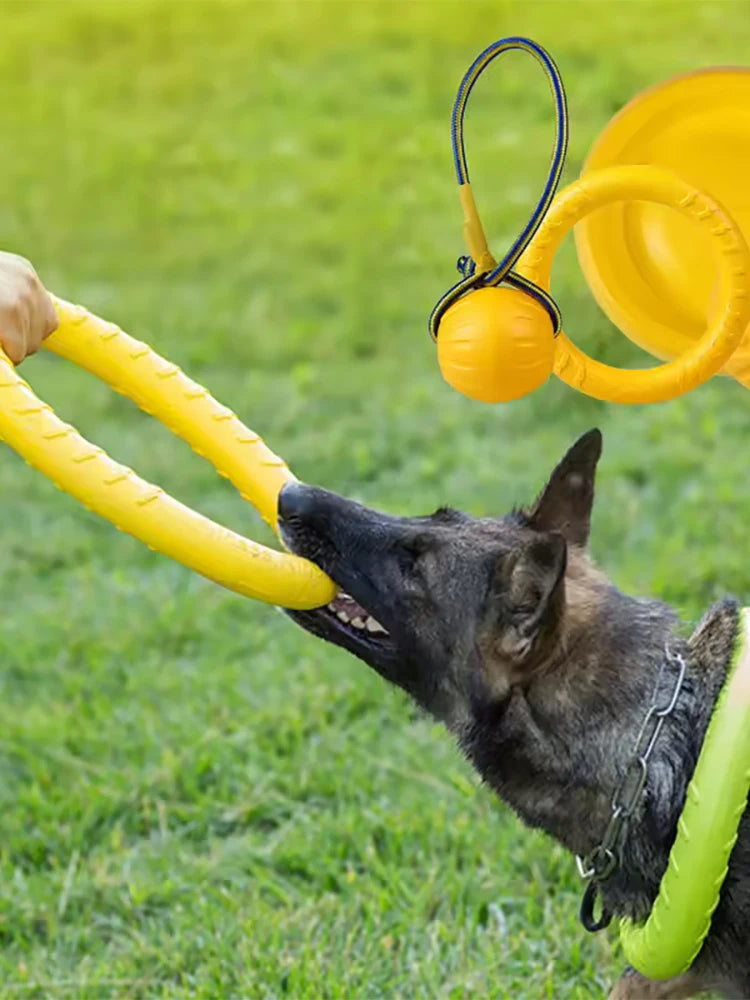 Dog Toy Bite Resistant Circular Frisbee Pet Toy Outdoor Dog Training Rope Toy Ball Grinding Teeth Pet Products Interactive Toy