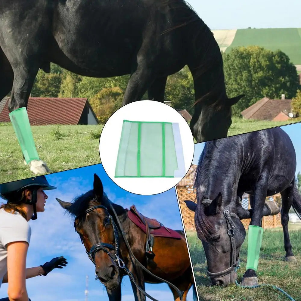Horse Leg Guards 4 PCS Horse Leggins Reusable Fly Boots Fly Boots Horses Minimizes Leg Fatigue Reduces Stomping