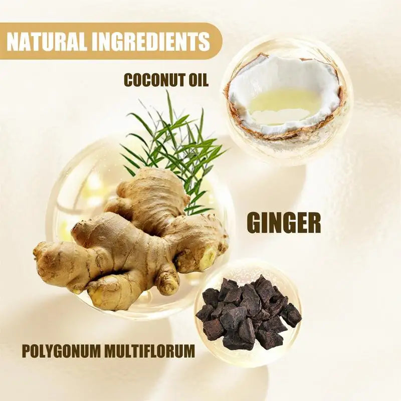 Herbal Ginger Hair Shampoo Hair Growth No Silicone Oil Control Anti Dandruff Itching Cleansing Professional Hair Treatment 100ml