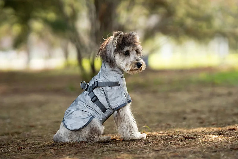 Waterproof Dog Rain Jacket with Harness Safety Reflective Dog Raincoat for Small Dogs Pet Outdoor Jackets for Jungle Camping