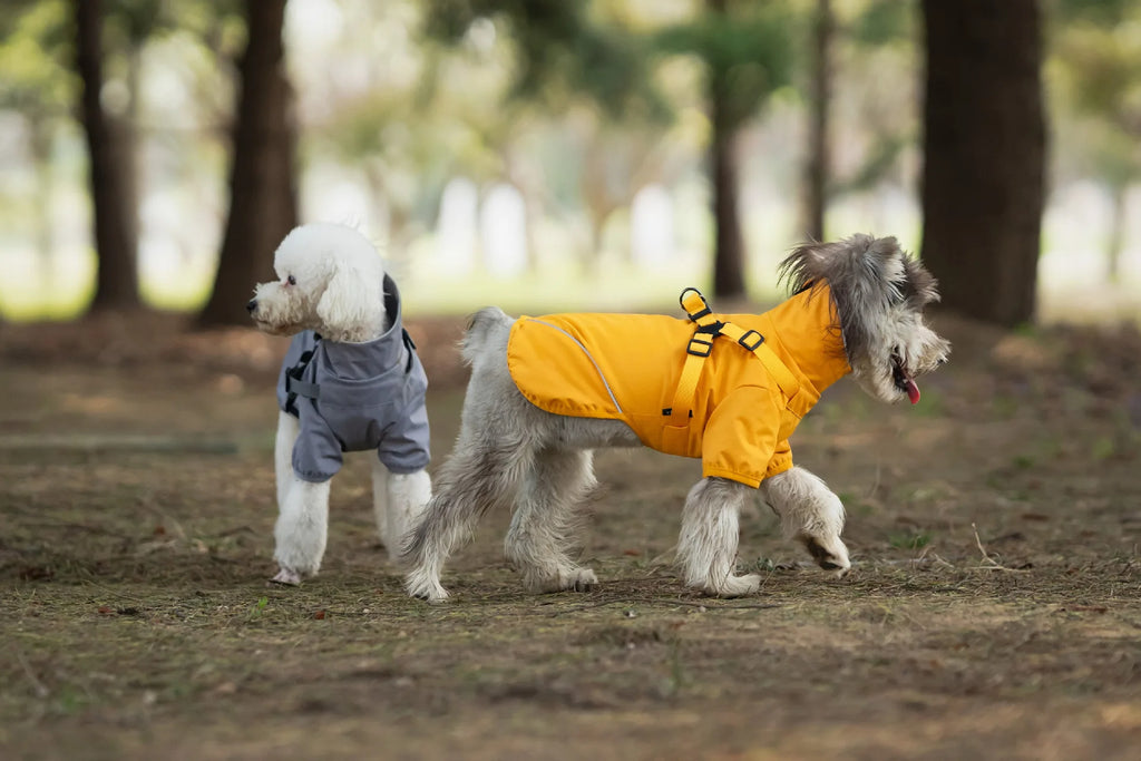 Waterproof Dog Rain Jacket with Harness Safety Reflective Dog Raincoat for Small Dogs Pet Outdoor Jackets for Jungle Camping